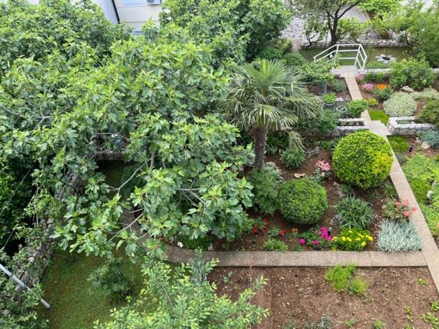 Apartman Laura ดรามัลย์ ห้อง รูปภาพ